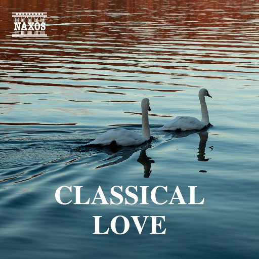 黄色片黄色片美女的
